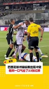 伊朗队与新西兰队世界杯小组赛精彩对决